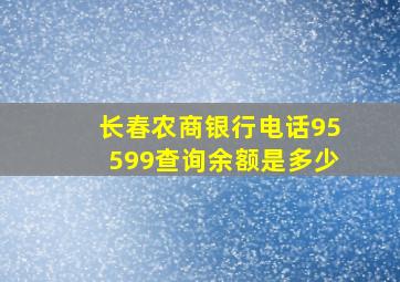 长春农商银行电话95599查询余额是多少