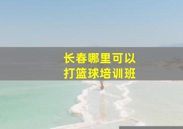 长春哪里可以打篮球培训班