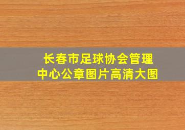 长春市足球协会管理中心公章图片高清大图