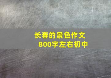 长春的景色作文800字左右初中