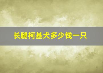 长腿柯基犬多少钱一只