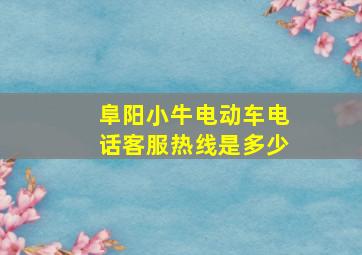 阜阳小牛电动车电话客服热线是多少