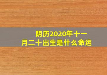 阴历2020年十一月二十出生是什么命运