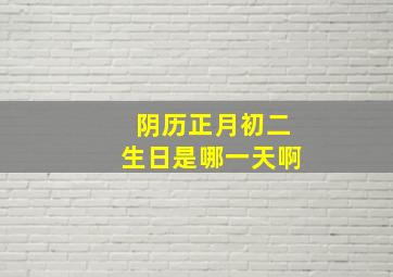 阴历正月初二生日是哪一天啊