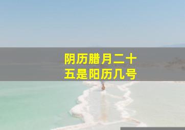 阴历腊月二十五是阳历几号