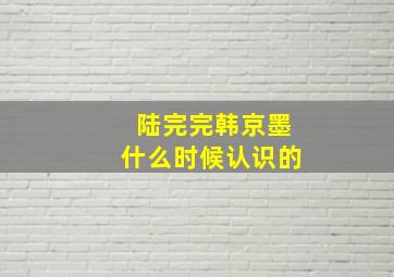 陆完完韩京墨什么时候认识的