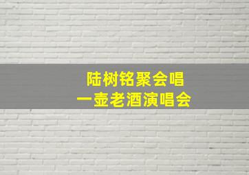 陆树铭聚会唱一壶老酒演唱会