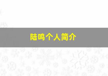 陆鸣个人简介