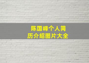 陈国峰个人简历介绍图片大全