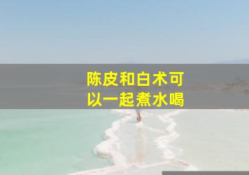 陈皮和白术可以一起煮水喝