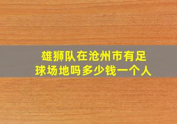 雄狮队在沧州市有足球场地吗多少钱一个人