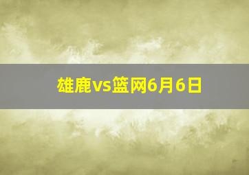 雄鹿vs篮网6月6日