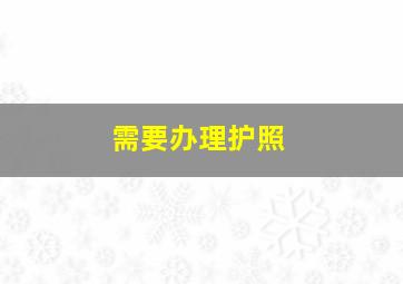 需要办理护照