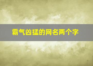 霸气凶猛的网名两个字