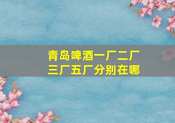 青岛啤酒一厂二厂三厂五厂分别在哪