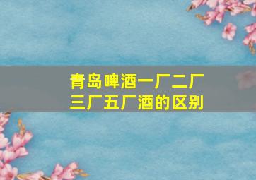 青岛啤酒一厂二厂三厂五厂酒的区别