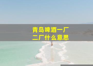 青岛啤酒一厂二厂什么意思