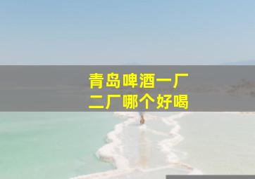 青岛啤酒一厂二厂哪个好喝