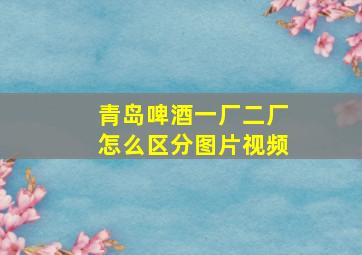 青岛啤酒一厂二厂怎么区分图片视频