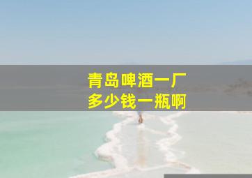 青岛啤酒一厂多少钱一瓶啊