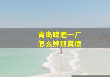 青岛啤酒一厂怎么辨别真假