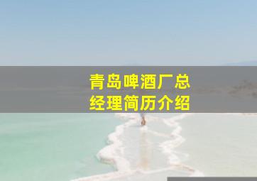 青岛啤酒厂总经理简历介绍