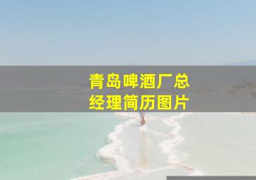 青岛啤酒厂总经理简历图片