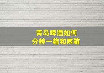 青岛啤酒如何分辨一箱和两箱