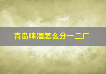 青岛啤酒怎么分一二厂