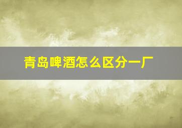 青岛啤酒怎么区分一厂