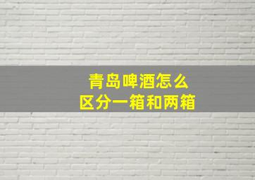 青岛啤酒怎么区分一箱和两箱