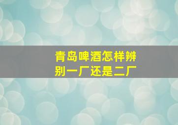 青岛啤酒怎样辨别一厂还是二厂