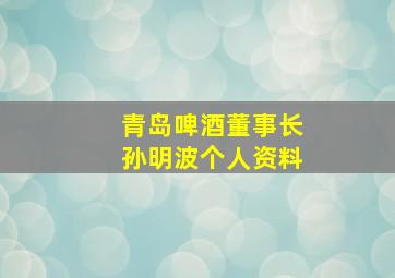 青岛啤酒董事长孙明波个人资料