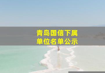 青岛国信下属单位名单公示