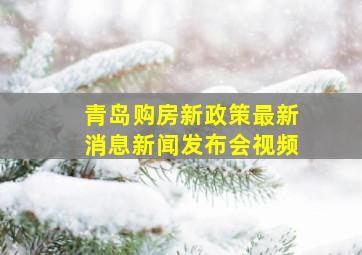 青岛购房新政策最新消息新闻发布会视频