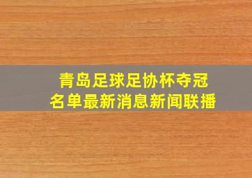 青岛足球足协杯夺冠名单最新消息新闻联播