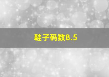 鞋子码数8.5