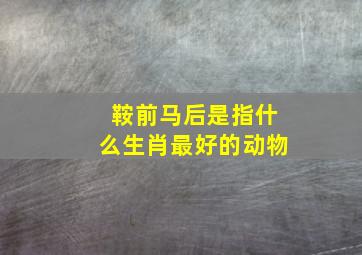 鞍前马后是指什么生肖最好的动物