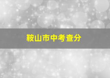 鞍山市中考查分