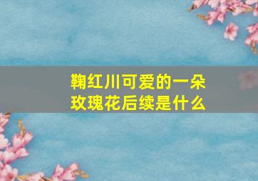 鞠红川可爱的一朵玫瑰花后续是什么