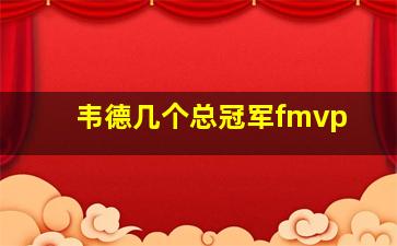 韦德几个总冠军fmvp