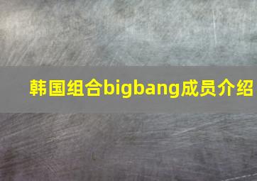 韩国组合bigbang成员介绍