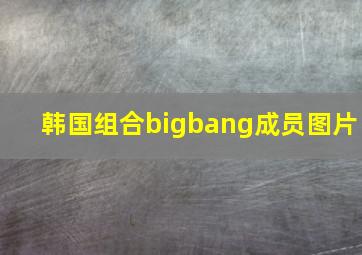 韩国组合bigbang成员图片