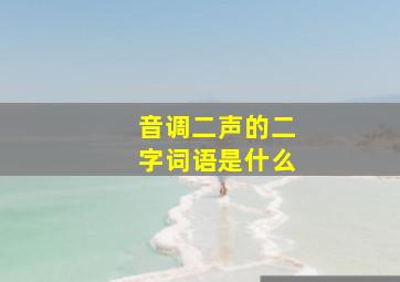 音调二声的二字词语是什么