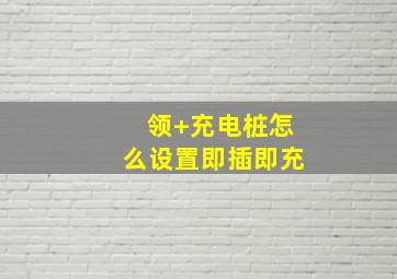 领+充电桩怎么设置即插即充