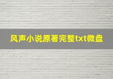 风声小说原著完整txt微盘