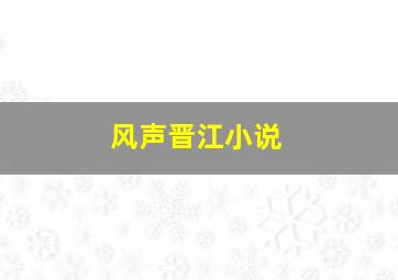 风声晋江小说