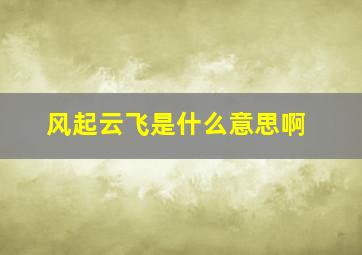 风起云飞是什么意思啊