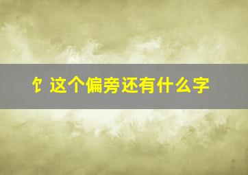 饣这个偏旁还有什么字