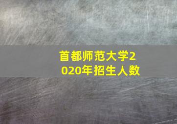 首都师范大学2020年招生人数